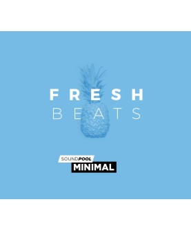 MAGIX Soundpool Fresh Beats ProducerPlanet Key GLOBAL